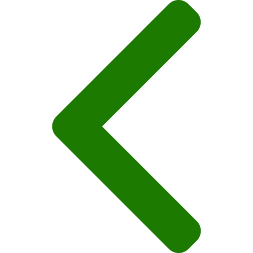 Flecha Anterior